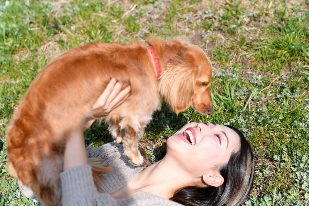 なぜミニチュアダックスフンドは寂しがり屋と言われるの？